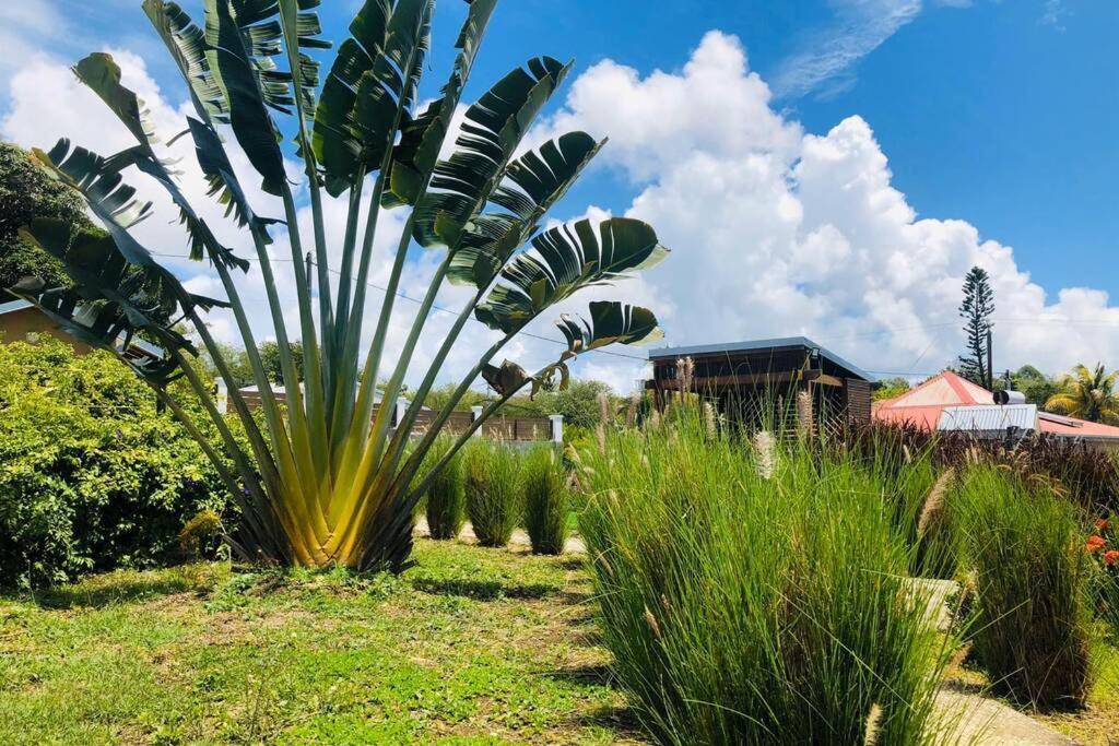 Apartmán Kaz Corail Sainte-Anne  Exteriér fotografie